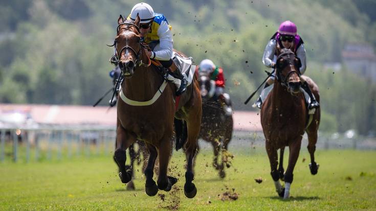 Zaldi lasterketak eta Errege Kopa, Hipodromoko bigarren saioan