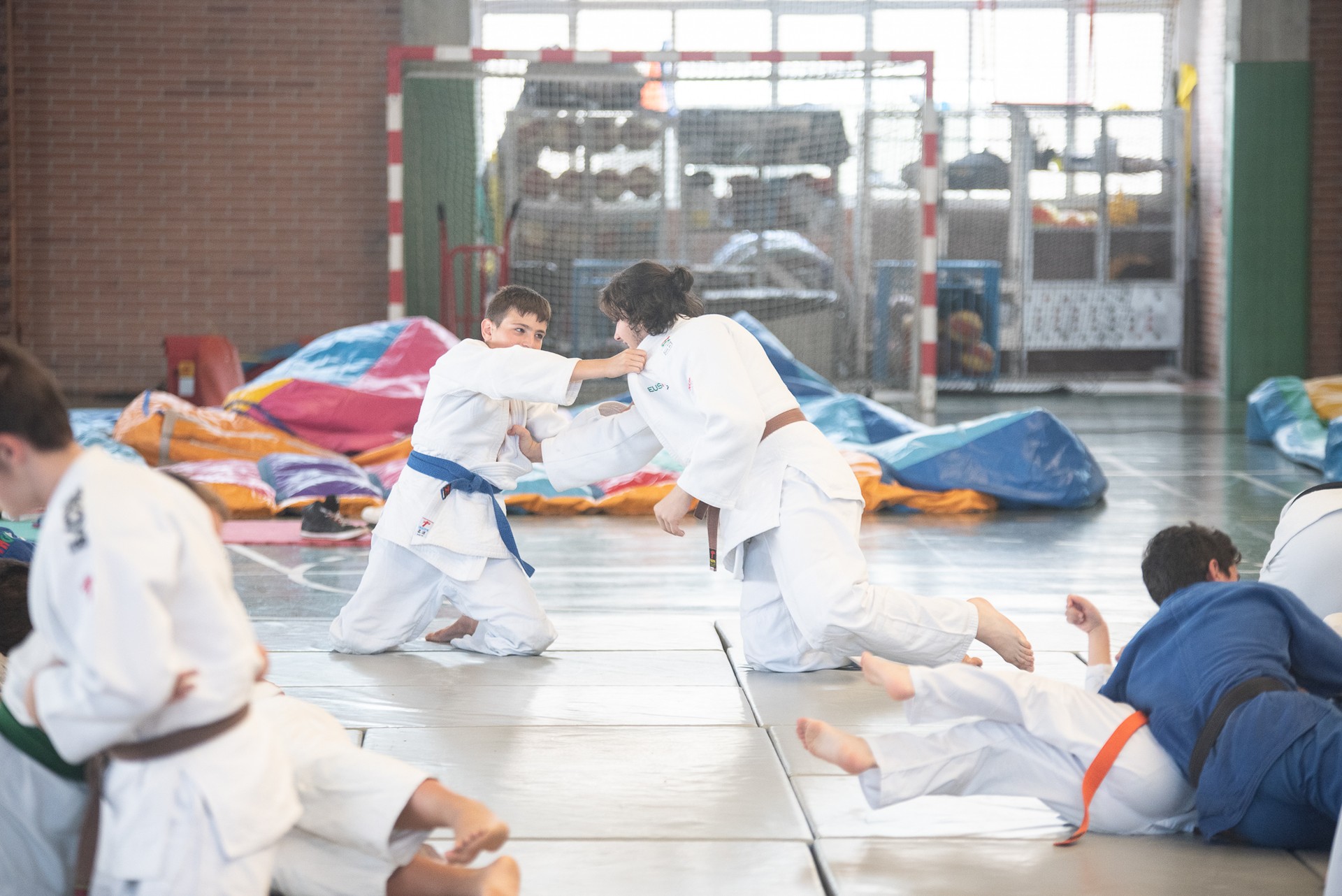 LOKEko judokak astelehenetik aurrera martxan