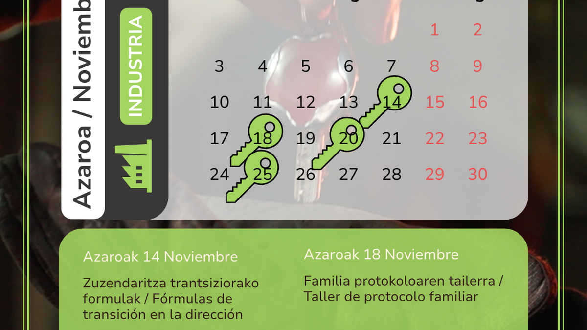 Negozioaren jarraipena planifikatzen laguntzeko doako lau formakuntza saio emango dituzte